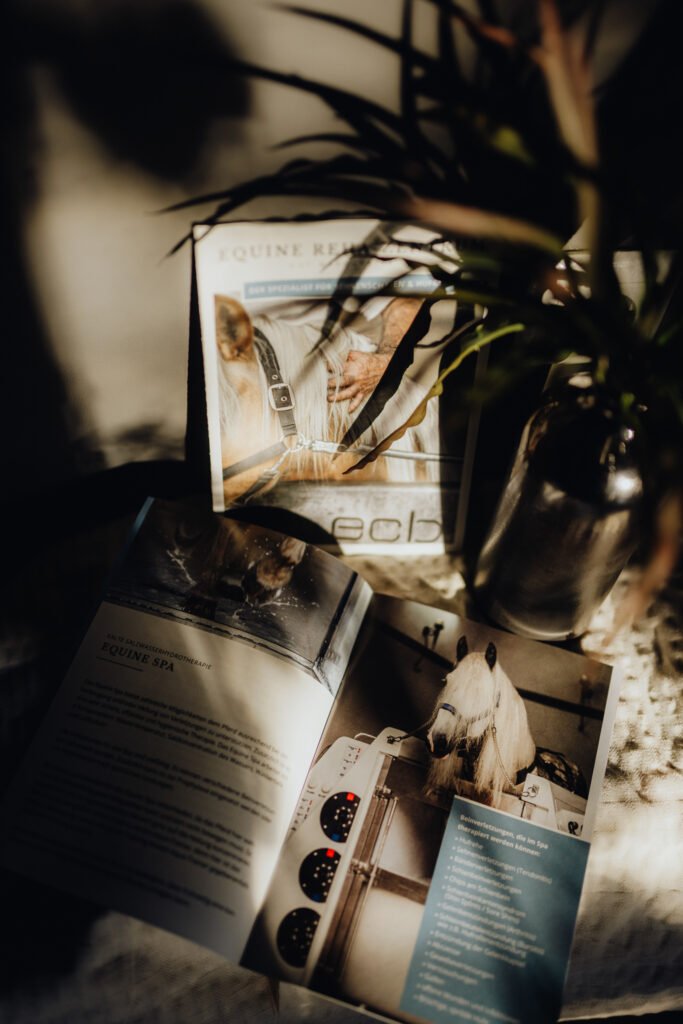 Broschüre über Equine Reha mit lebendigen Bildern und Text im Sonnenlicht.