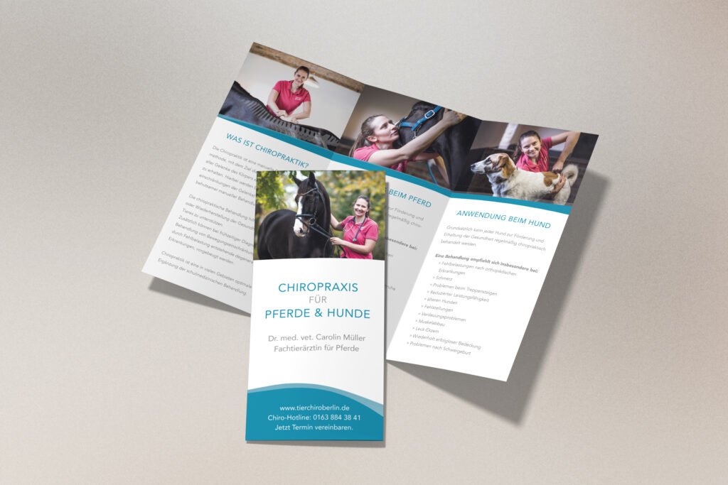 Broschüre der Chiropraktikpraxis für Pferde und Hunde, Grafikdesign von Gina Wetzler, Joliegraphie.
