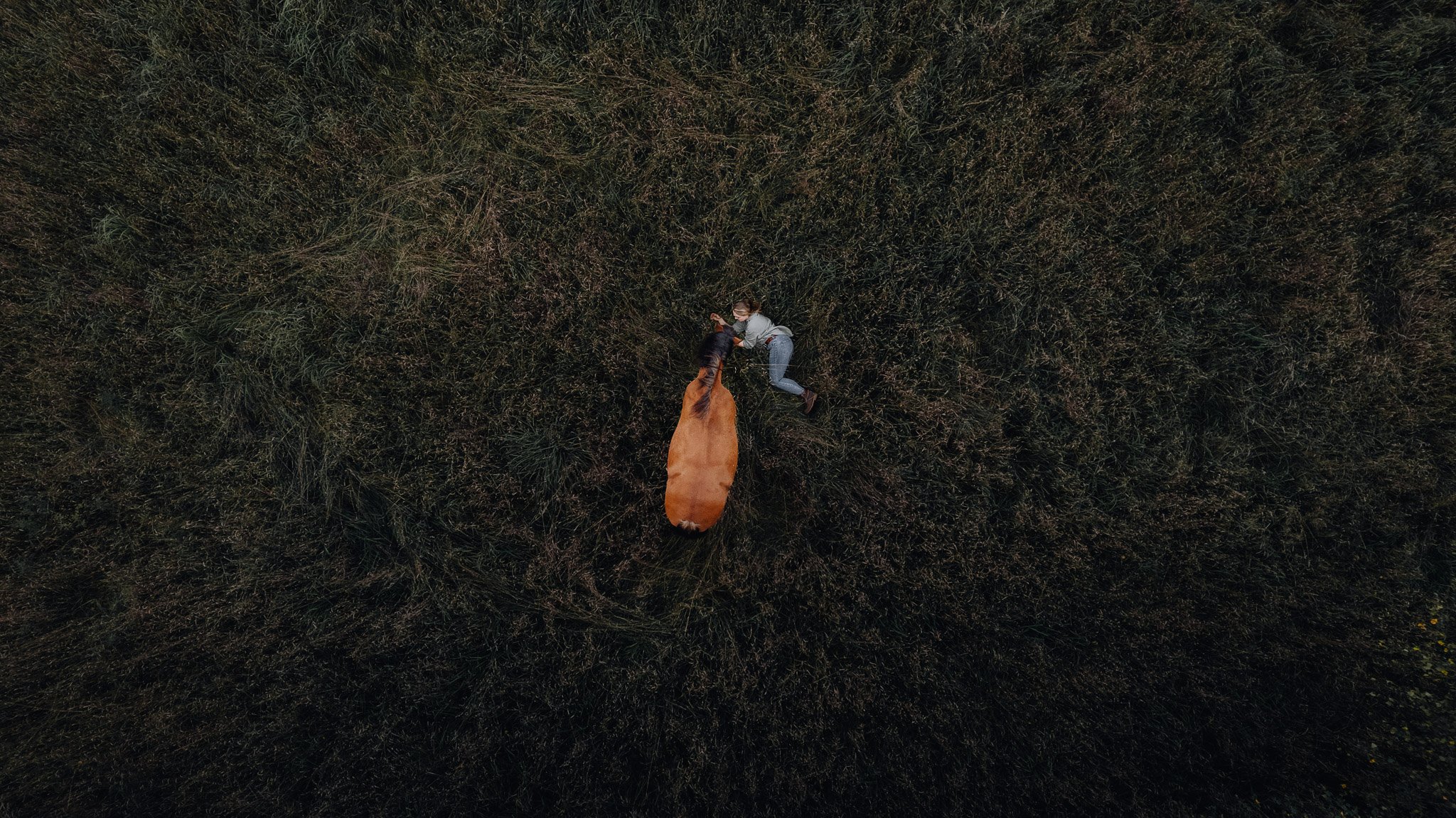 Eine Luftaufnahme von einer Frau und einem Pferd auf einem Feld.