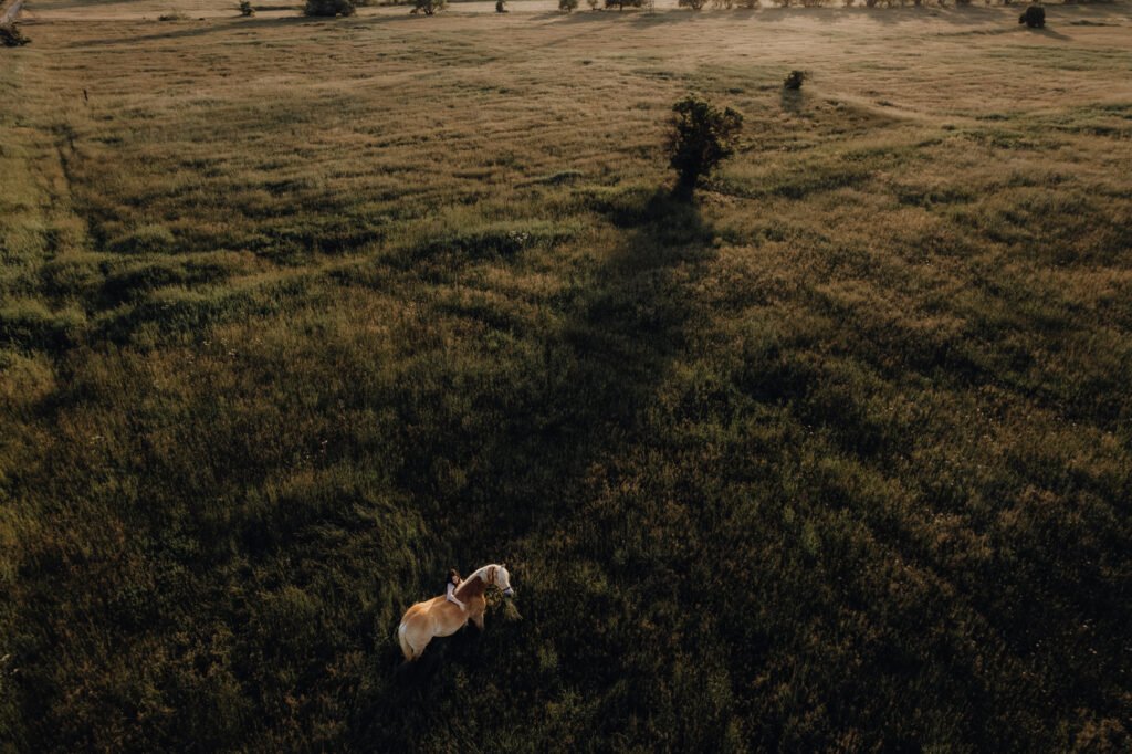 Eine Luftaufnahme eines Pferdes auf einem Feld.