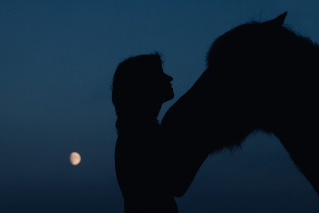 Eine Frau berührt den Kopf eines Pferdes.