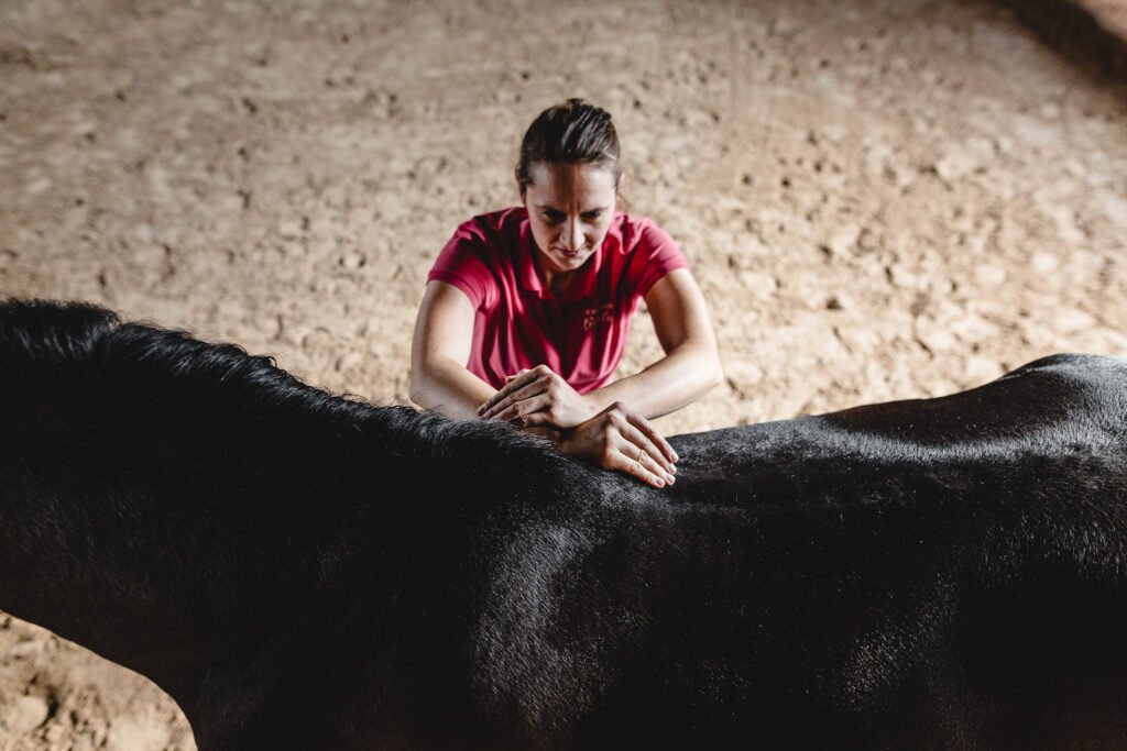 Eine Frau streichelt ein schwarzes Pferd in einem Stall.