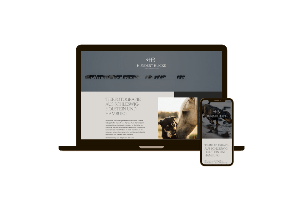 Webdesign / Webseitenerstellung für Fotografin Hundertblicke