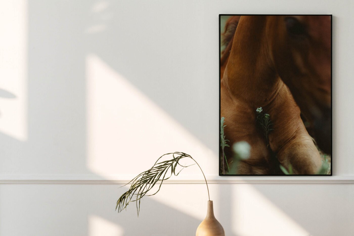 Fine-Art Print – Fohlenliebe