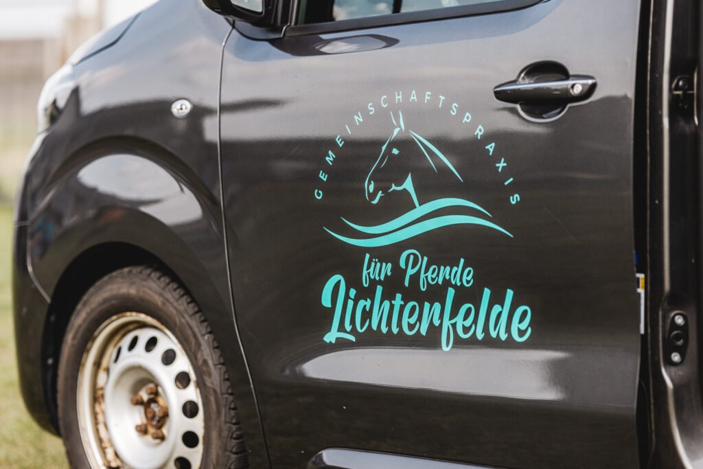 Praxisfotografie für mobile Pferdepraxis aus Berlin-Brandenburg