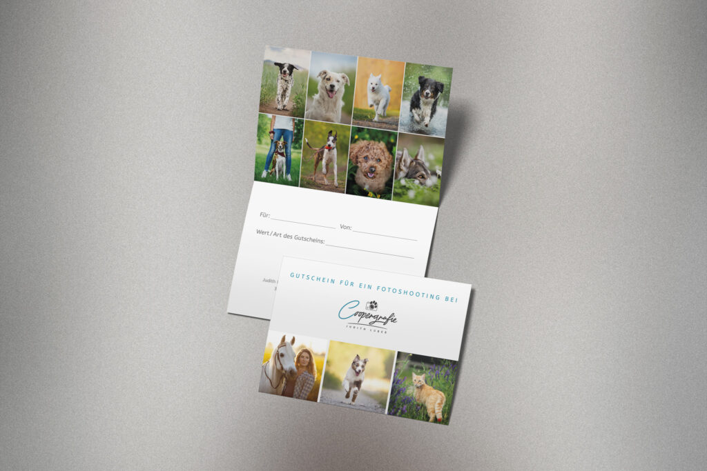 Gutschein für ein Fotoshooting bei Coopergrafie, Design von Gina Wetzler, Joliegraphie, mit Tierfotos.