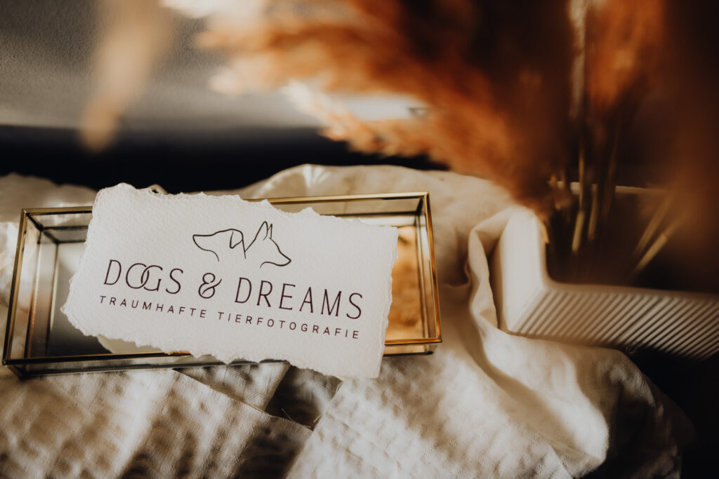 Dogs & Dreams-Logo auf einem Bett.