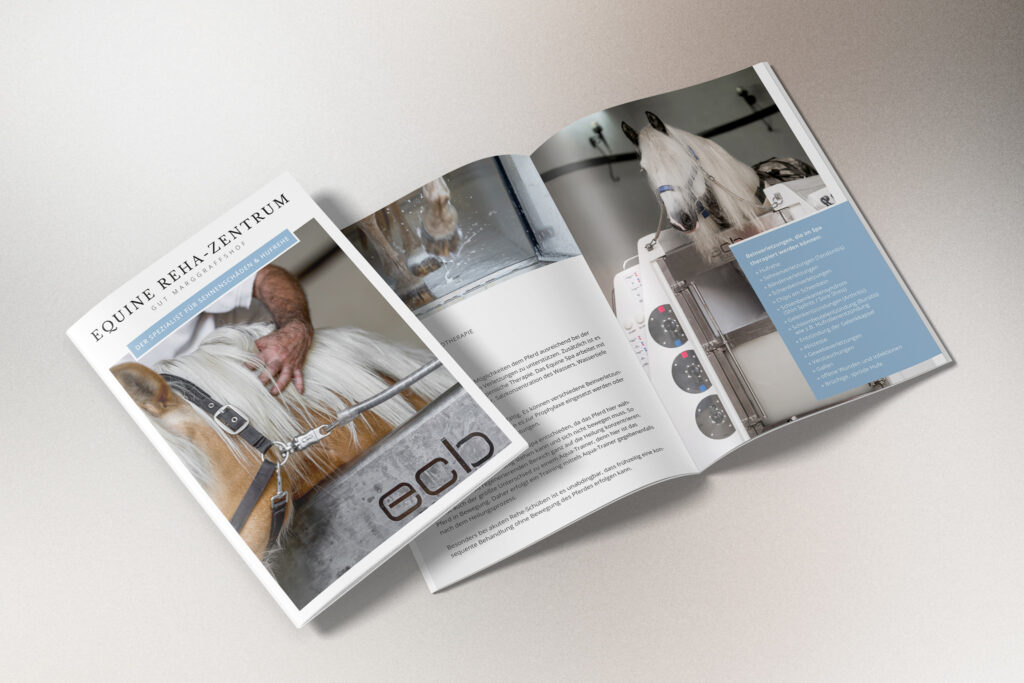 Professionell gestaltete Broschüre für ein Equine Rehabilitationszentrum mit deutlichen Bildern und Texten, die die Therapiedienste beschreiben, als Beispiel für Gina Wetzlers Fähigkeiten im Geschäftsgrafikdesign.