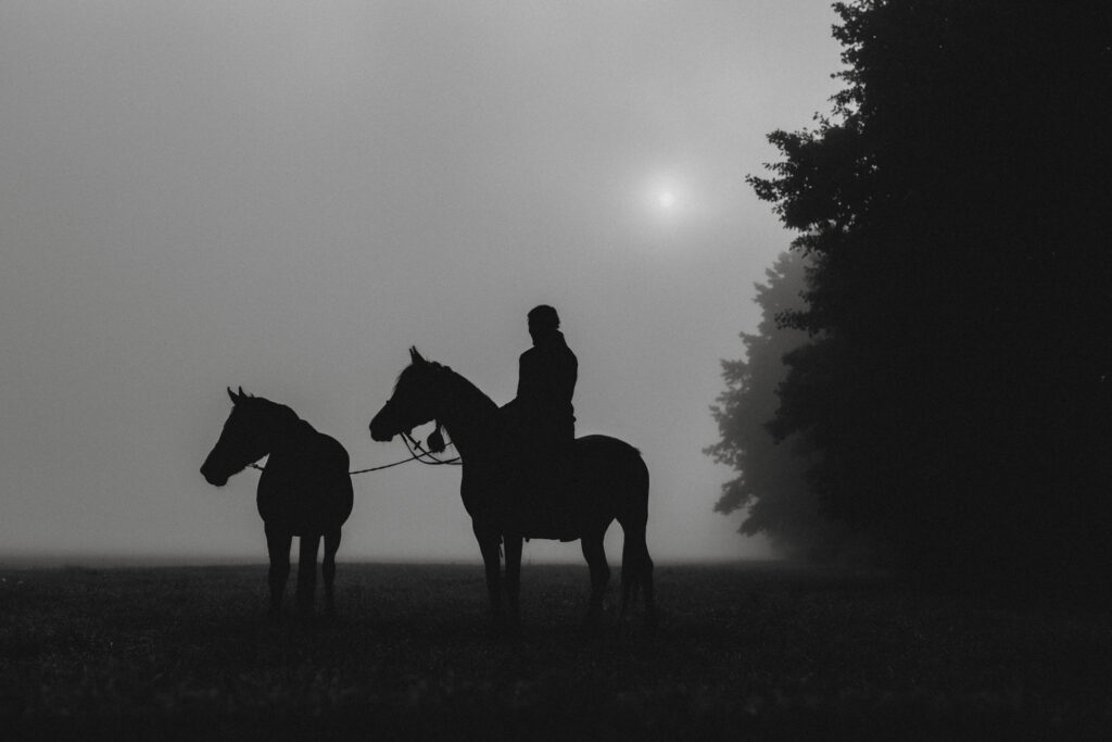 Silhouette eines Pferdes und Reiters an einem nebligen Tag.
