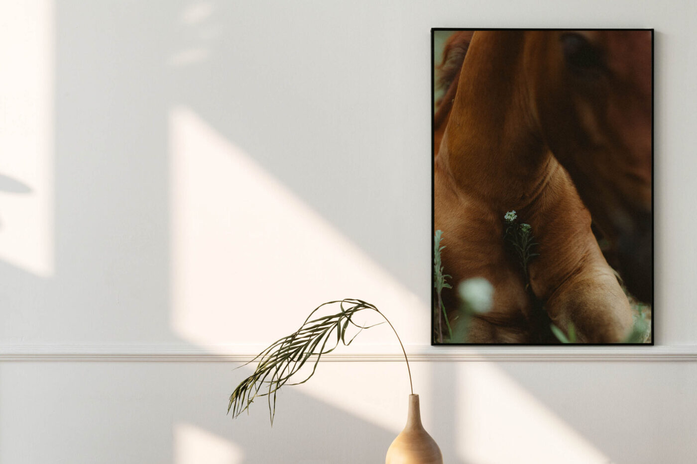 Fine-Art Print – Fohlenliebe